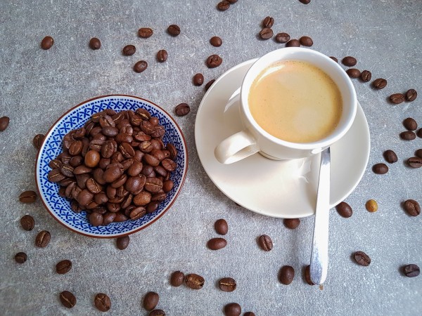 Probe CBD-Kaffee Tansania Tanga - 10g