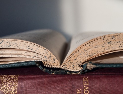 Eine kurze Anleitung zum Verständnis der CBD-Grundlagen